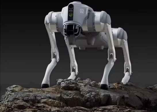 dogrobot